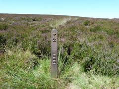 
Boundary marker, '1896     No 4', Waun Wen, July 2011